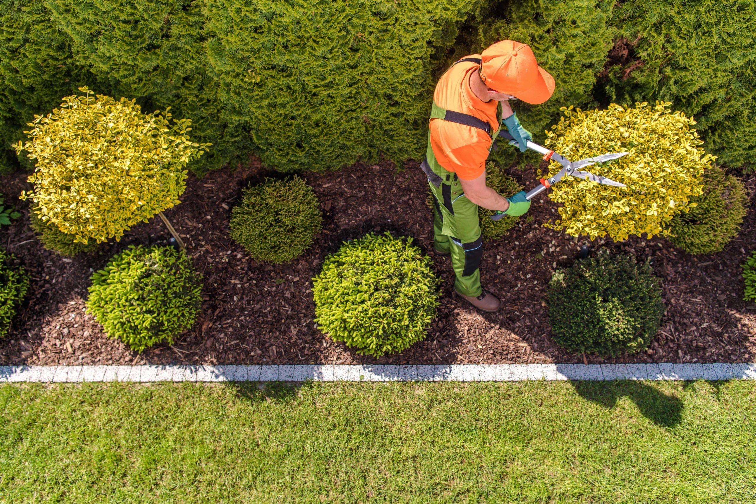 Gardening, cutting grass