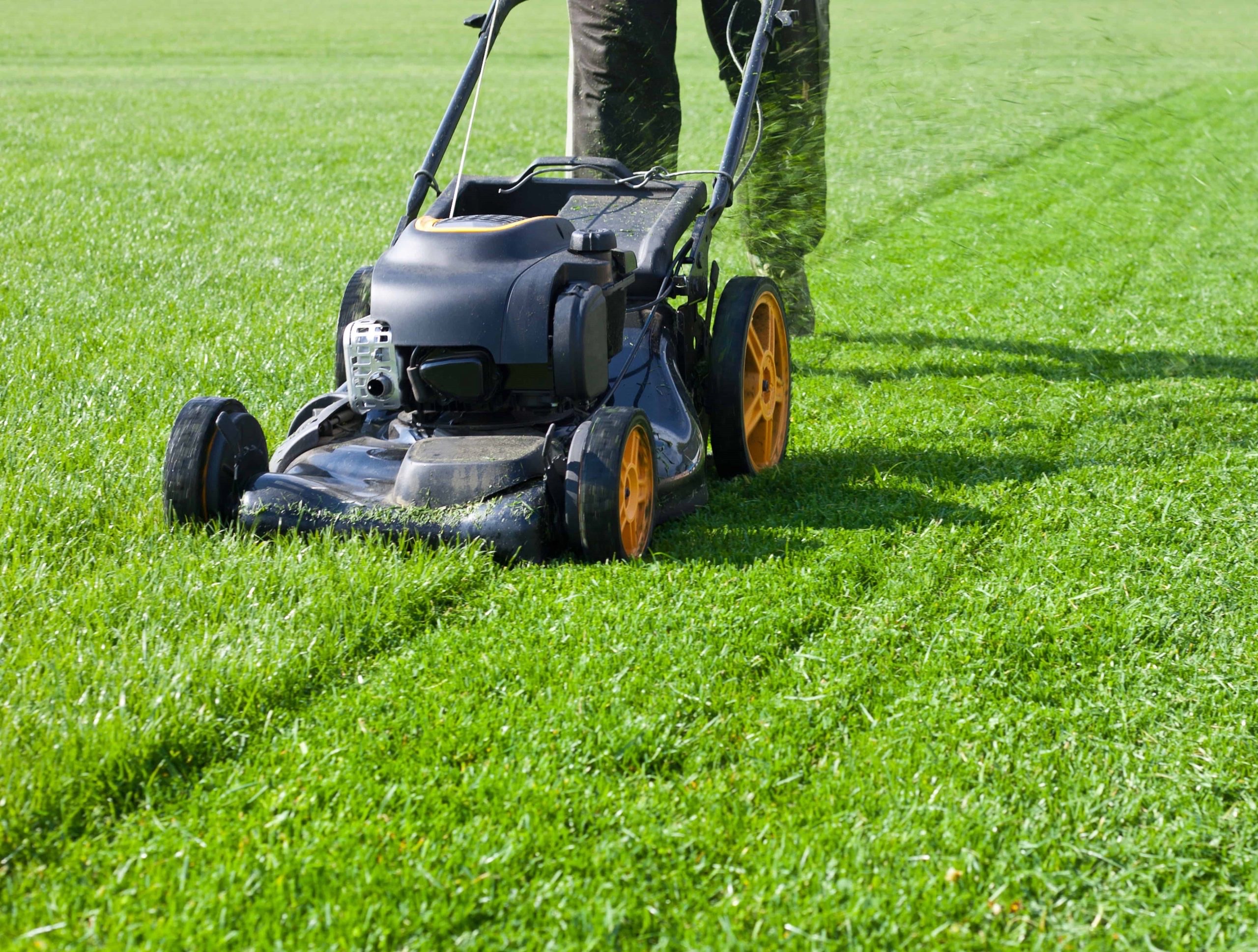 Gardening, cutting grass