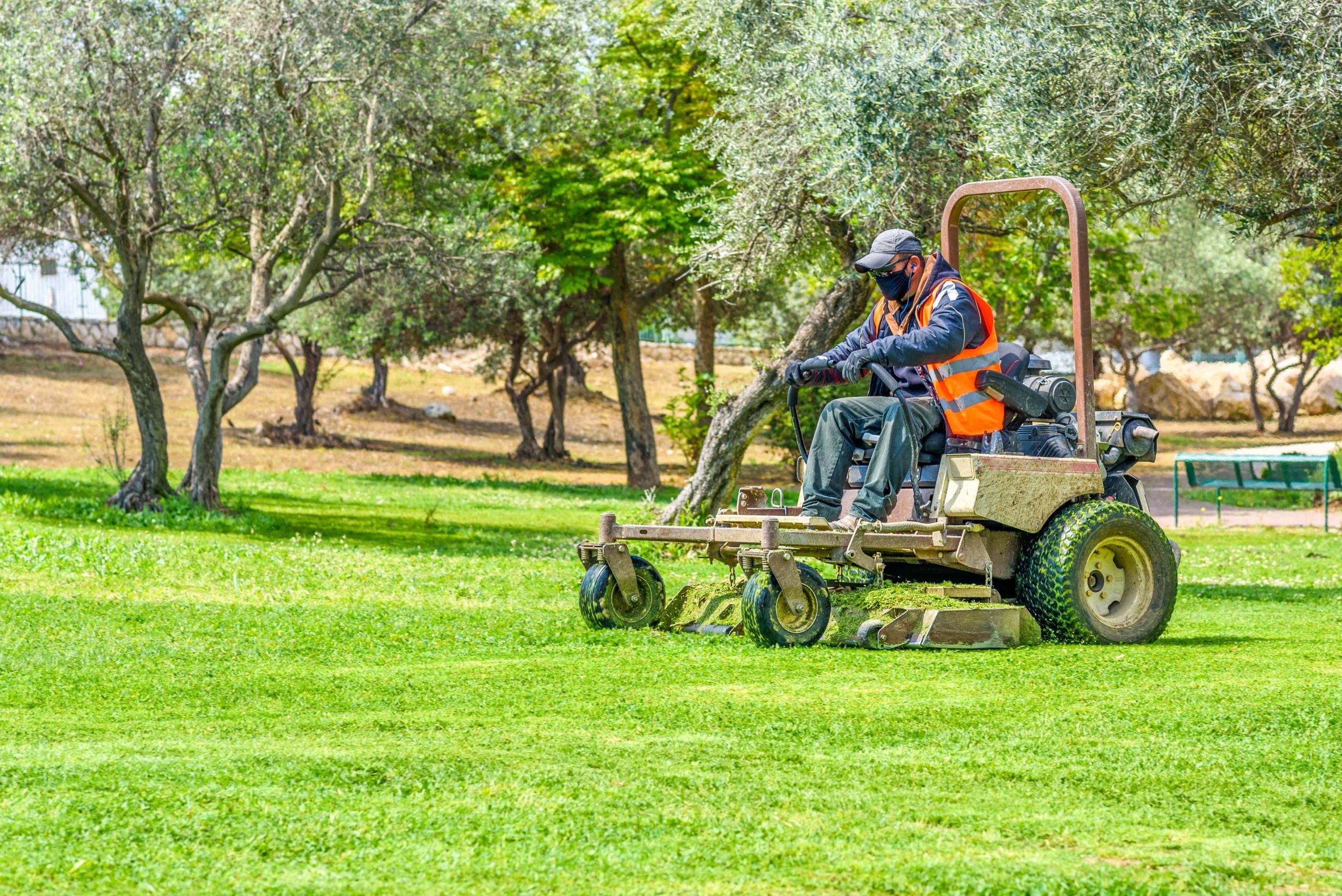 Gardening, cutting grass